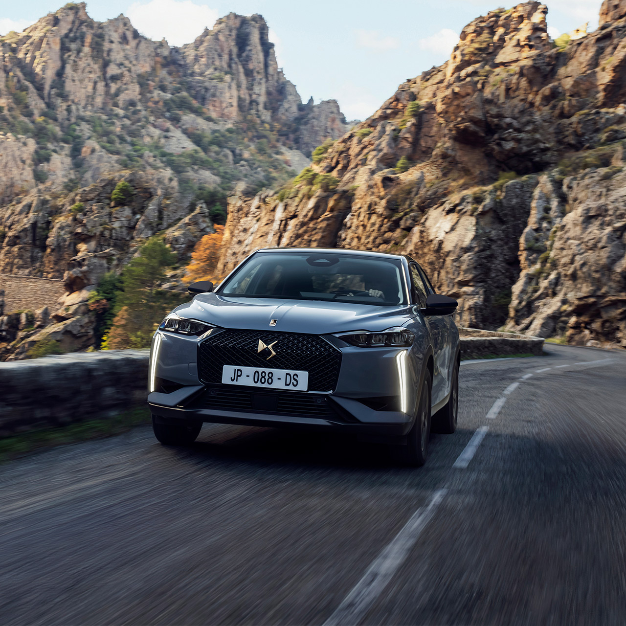 DS 3 DS PERFORMANCE Line